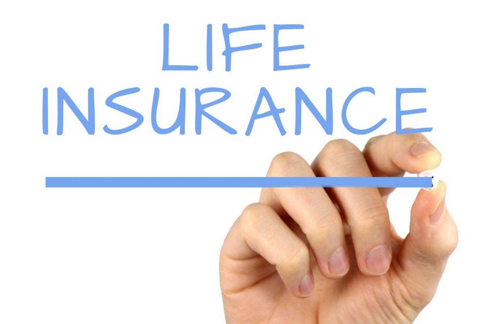 Edmonds Insurance Group Life Insurance