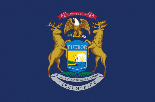 Edmonds Insurance Group Michigan State Flag