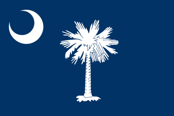 Edmonds Insurance Group South Carolina State Flag